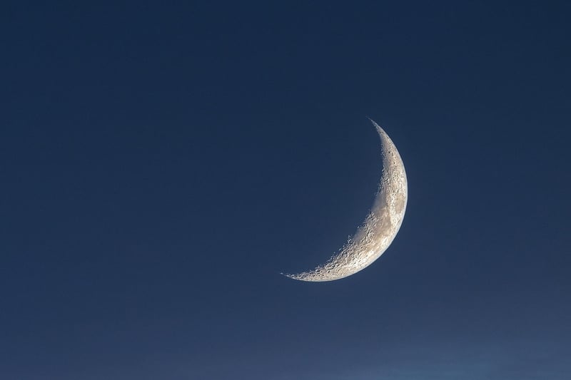 Moonlit Magic Image